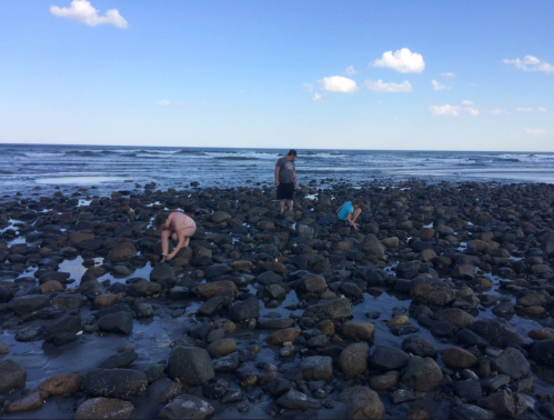 Three people explore a rocky beach, bending down to examine the stones against a backdrop of ocean and blue sky.
