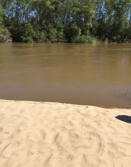 A sandy riverbank with muddy water and lush green trees lining the opposite shore under a clear blue sky.