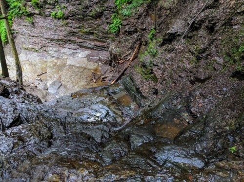 A rocky, moss-covered stream flows down a steep slope surrounded by lush greenery and tree trunks.