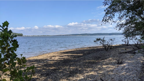 A serene lakeside view with a sandy shore, trees, and a clear blue sky with scattered clouds in the background.