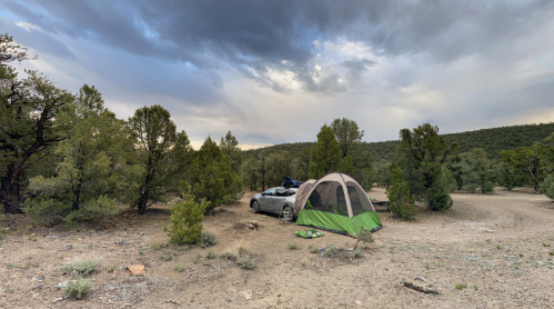 A green and beige tent set up near a car in a forested campsite under a cloudy sky.