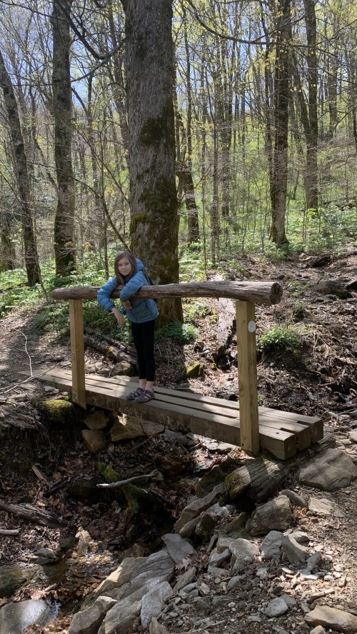 A girl leans on a wooden bridge in a forest, surrounded by trees and greenery. Sunlight filters through the leaves.