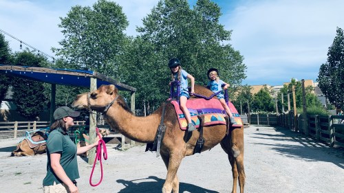 Two children ride a camel at a petting zoo, while an adult holds the camel's lead. Trees and a blue sky are in the background.