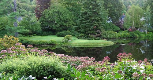 Lush garden with colorful flowers in the foreground, a serene pond, and greenery in the background.