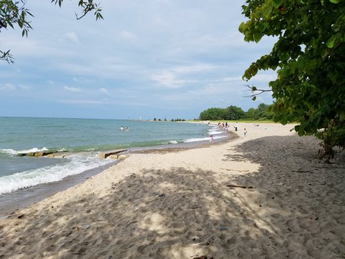 A sandy beach with gentle waves, people enjoying the water, and trees lining the shore under a cloudy sky.