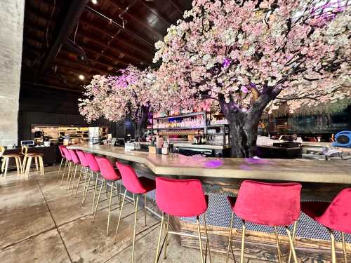 A stylish bar with pink chairs and cherry blossom trees, featuring a modern interior and a well-stocked shelf behind the counter.