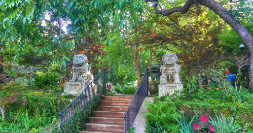 Stone lion statues guard a staircase surrounded by lush greenery and colorful plants in a serene garden setting.