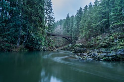 A serene river flows through a forest, with a wooden bridge arching over the water, surrounded by lush greenery.