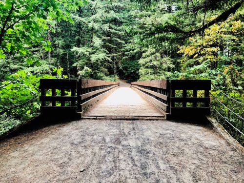 A wooden bridge stretches over a path, surrounded by lush green trees in a serene forest setting.