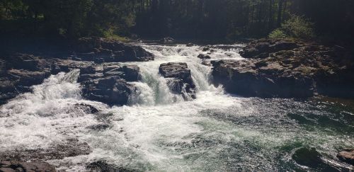 A serene river flows over rocky formations, surrounded by lush greenery and sunlight filtering through the trees.