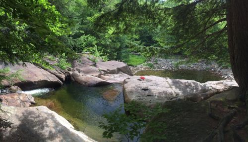 A serene natural landscape featuring a rocky riverbank surrounded by lush greenery and a calm water pool.
