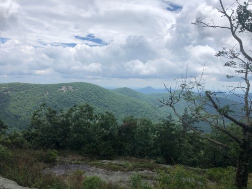 alt