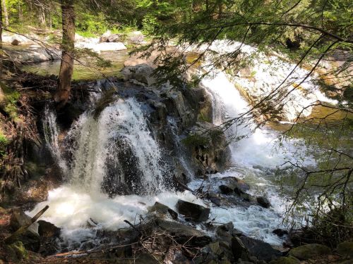 A serene waterfall cascades over rocks, surrounded by lush greenery and sunlight filtering through the trees.