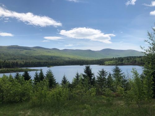 A serene lake surrounded by lush green trees and rolling hills under a clear blue sky.