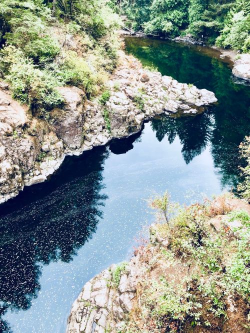 A serene river winding through rocky banks, surrounded by lush greenery and reflecting trees on the water's surface.