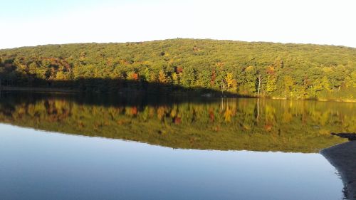 A serene lake reflecting a colorful forest in autumn, with clear skies above and gentle ripples on the water.