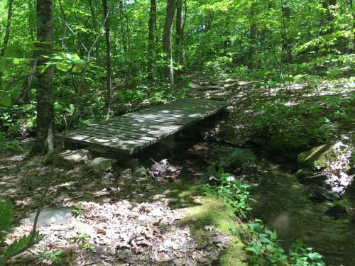 A wooden bridge crosses a small stream in a lush, green forest with sunlight filtering through the trees.