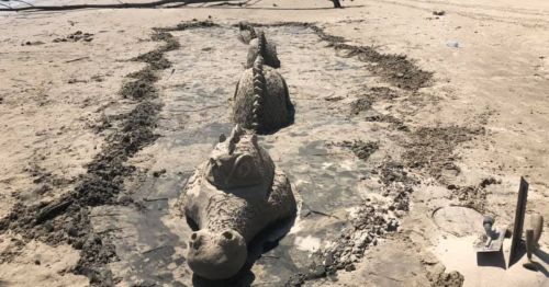 A large sand sculpture of a crocodile on a beach, surrounded by wet sand and footprints.