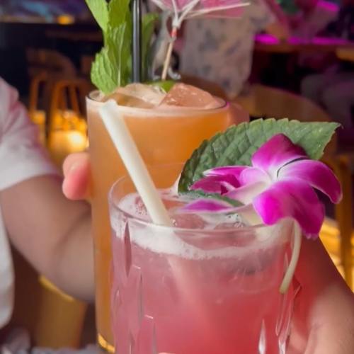 Two colorful cocktails garnished with mint and a flower, held up in a lively bar setting.