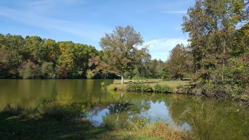 A serene lake surrounded by trees with autumn foliage under a clear blue sky. Reflections shimmer on the water's surface.