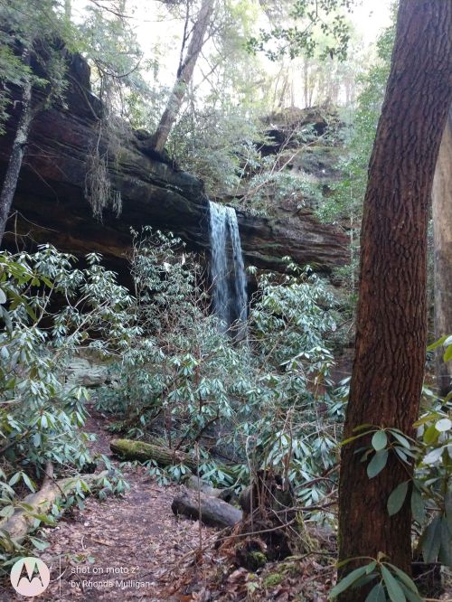 A serene waterfall cascades down rocky cliffs, surrounded by lush greenery and trees in a tranquil forest setting.