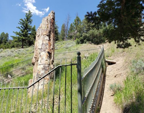 A rocky outcrop beside a winding path, surrounded by greenery and a metal fence under a clear blue sky.