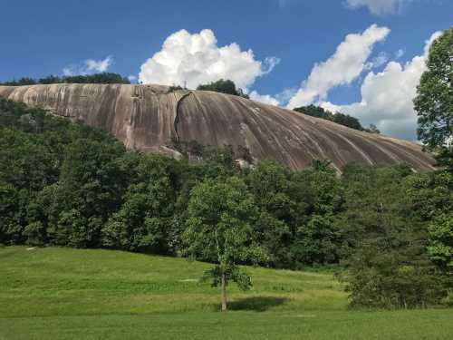 A large, smooth rock formation rises above a green landscape, surrounded by trees under a blue sky with fluffy clouds.