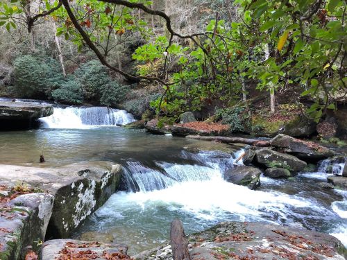 A serene river flows over rocks, surrounded by lush greenery and trees, creating a peaceful natural scene.