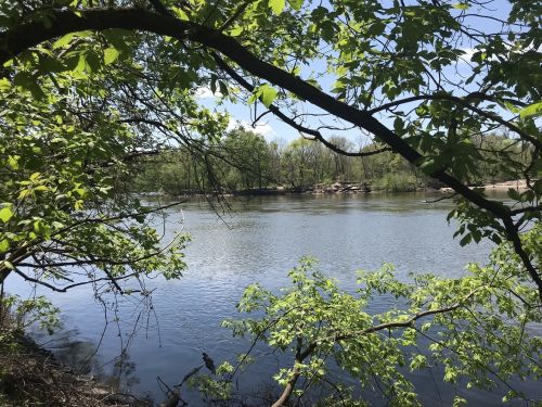 A serene river scene framed by lush green leaves and trees under a clear blue sky.