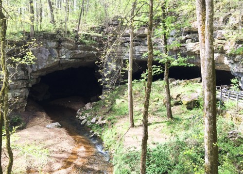 A serene forest scene featuring two cave entrances beside a small stream, surrounded by lush greenery and trees.