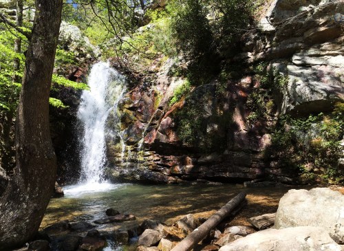 A serene waterfall cascades over rocky cliffs, surrounded by lush greenery and a calm pool of water below.