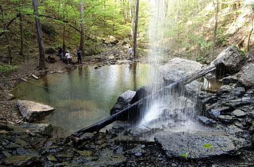 A serene waterfall cascades into a rocky pool, surrounded by lush greenery and people enjoying the natural setting.