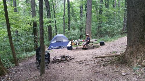 A campsite in a forest with a tent, picnic table, and a person sitting at the table surrounded by trees.