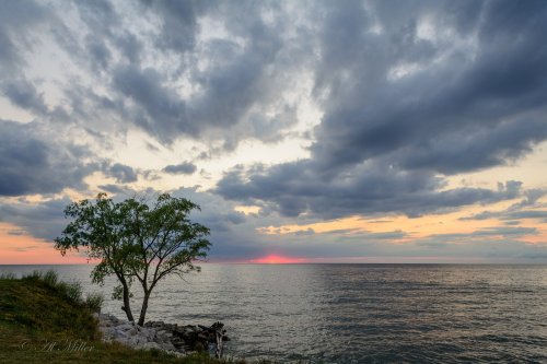 A serene lakeside scene at sunset, featuring a lone tree and dramatic clouds reflecting on the water's surface.