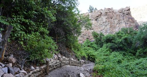 A winding dirt path surrounded by lush greenery and rocky cliffs in a natural landscape.