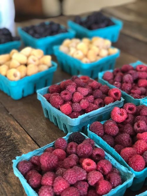 Baskets of fresh raspberries, blackberries, and yellow raspberries arranged on a wooden table.