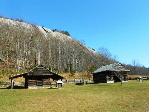 Two rustic log cabins sit in a grassy area, with a large rocky hill and bare trees in the background under a clear blue sky.