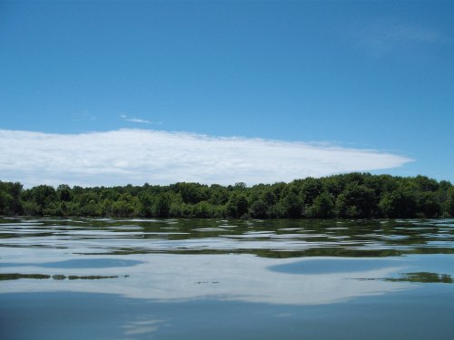 A calm lake reflects a blue sky and fluffy clouds, surrounded by lush green trees on the shore.