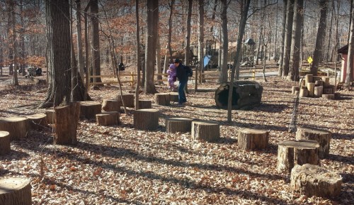 A child and an adult walk through a wooded area with tree stumps and fallen leaves, surrounded by trees.