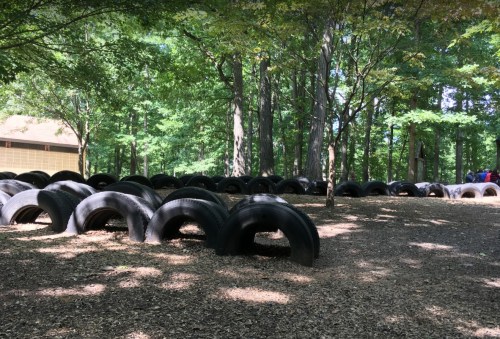 A park area with several old tires arranged on the ground, surrounded by trees and dappled sunlight.