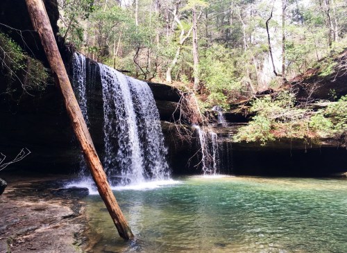 A serene waterfall cascades into a clear pool, surrounded by lush greenery and rocky terrain.