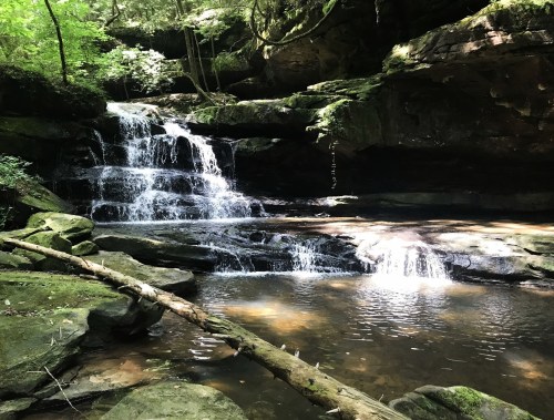 A serene waterfall cascades over mossy rocks into a calm pool, surrounded by lush greenery in a tranquil forest setting.
