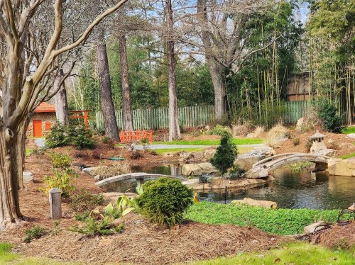 A serene garden with a pond, stone bridges, lush greenery, and trees, creating a peaceful natural setting.