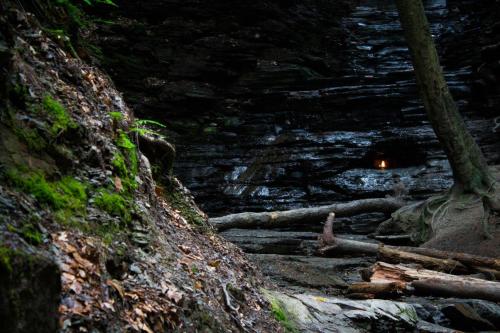 A rocky, moss-covered landscape with fallen logs and a faint light in a cave-like opening in the background.