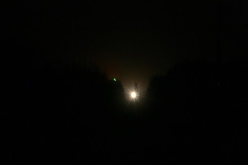 A bright light shines in the distance, surrounded by dark silhouettes of trees against a night sky.