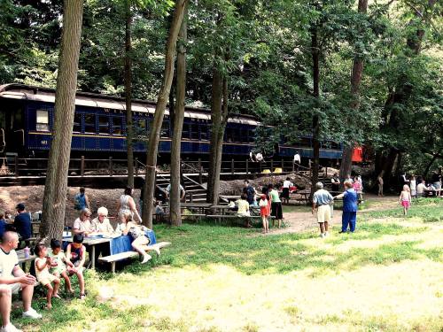 A vintage train passes through a wooded area, with people picnicking and enjoying the outdoors nearby.