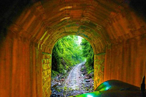 View from a train tunnel, showcasing a winding track leading into a lush, green landscape.