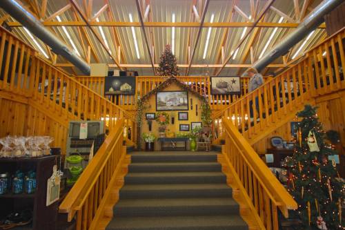 A wooden staircase leads to a decorated area with art, plants, and holiday decor in a cozy, rustic setting.