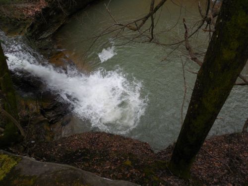 A waterfall cascades into a calm, green river surrounded by trees and fallen leaves.