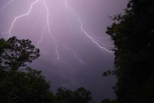 A dramatic sky illuminated by multiple lightning strikes, surrounded by dark clouds and silhouetted trees.